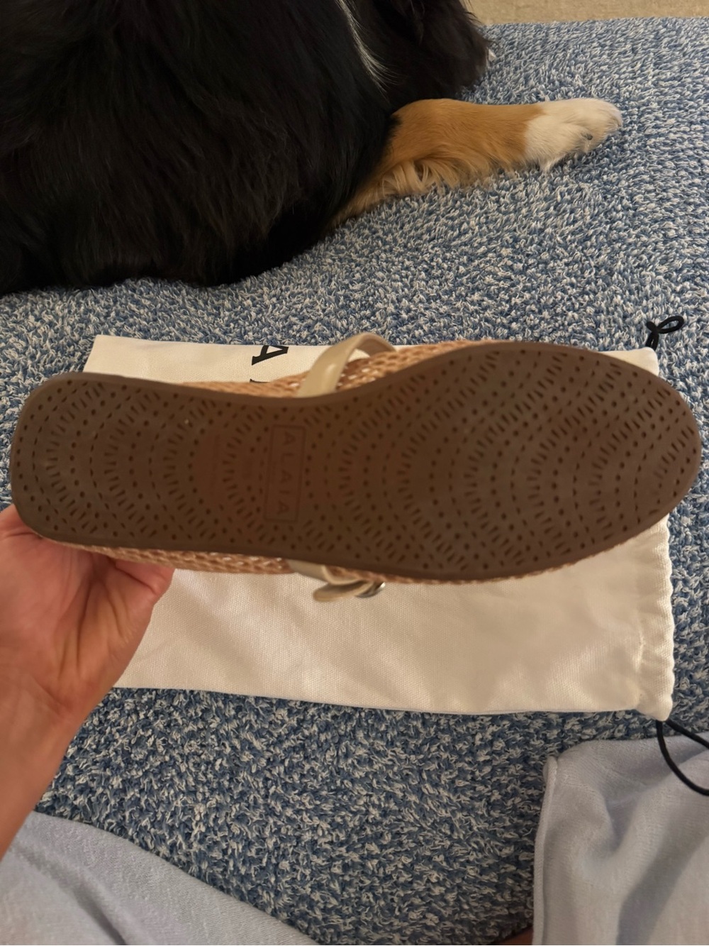 Alaïa Fishnet Ballerina Flat - Picture 13 of 13
